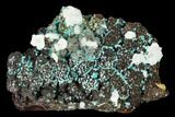 Aurichalcite and Calcite Association - Hidden Treasure Mine #146191-1
